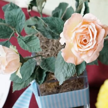 Flowers In Bloom - Florists Near Me - Winnipeg, Manitoba