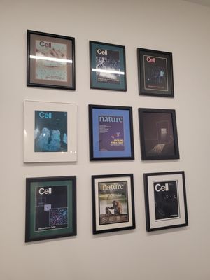 California Institute of Technology by null