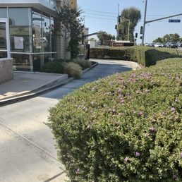 Drive thru. Drive thru.
