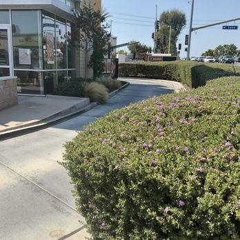 Panera Bread - Drive thru. - Sandwiches Near Me - Lake Forest, California Panera Bread - Drive thru. - Sandwiches Near Me - Lake Forest, California