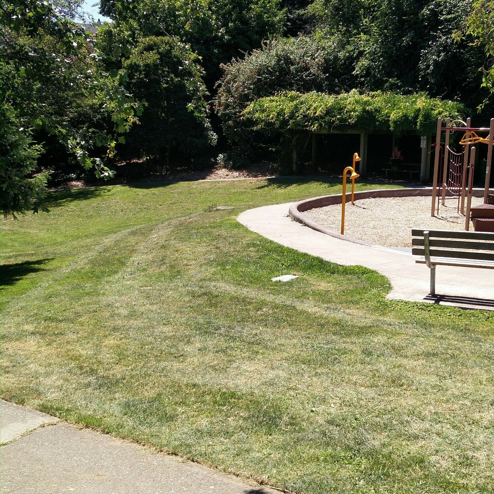 Bhy Kracke Park - The grass is green - Parks Near Me - Seattle, Washington Bhy Kracke Park - The grass is green - Parks Near Me - Seattle, Washington