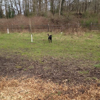 Cedar River Dog Park - Great large, open space for any sized dog to run around! - Dog Parks Near Me - Renton, Washington Cedar River Dog Park - Great large, open space for any sized dog to run around! - Dog Parks Near Me - Renton, Washington