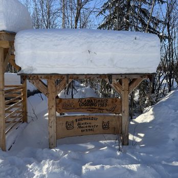 Firewalker Alaskan Malamute Kennel - Sign - Tours Near Me - North Pole, Alaska Firewalker Alaskan Malamute Kennel - Sign - Tours Near Me - North Pole, Alaska