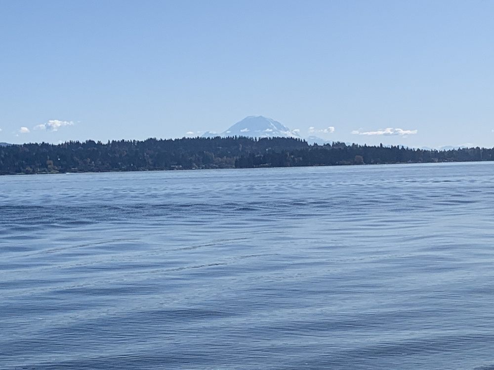 ILYSE  ROSENBERG DO, Mountain Mental Health - grief counselor in Bellevue, WA