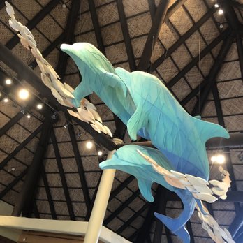 Discovery Cove - I am a sucker for details - Amusement Parks Near Me - Orlando, Florida