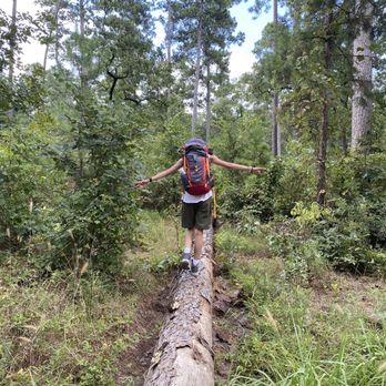 Sam Houston National Forest - Parks Near Me - New Waverly, Texas