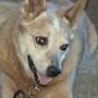 Photo of Riverside Veterinary Care