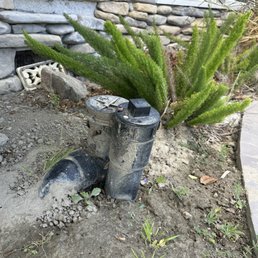 Installed clean out for main drain after tree roots clogged pipe. Installed clean out for main drain after tree roots clogged pipe.