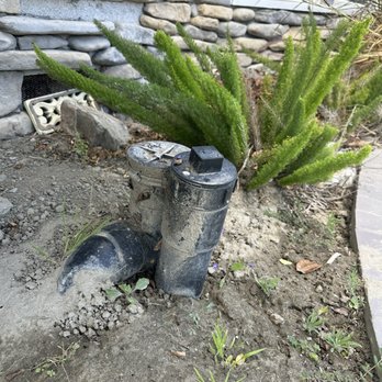 Prodigy Plumbing & HVAC - Installed clean out for main drain after tree roots clogged pipe. - Plumbing Near Me - Long Beach, California Prodigy Plumbing & HVAC - Installed clean out for main drain after tree roots clogged pipe. - Plumbing Near Me - Long Beach, California