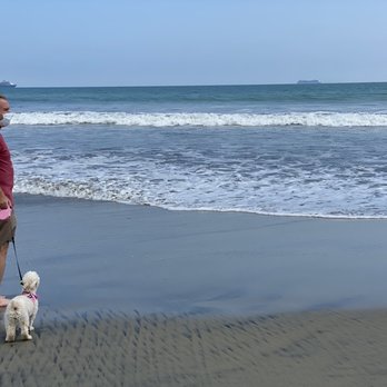 Coronado Dog Beach - Beaches Near Me - Coronado, California Coronado Dog Beach - Beaches Near Me - Coronado, California
