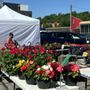 Photo of Waukesha Farmer's Market