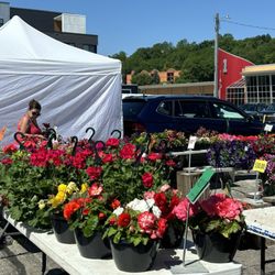 Waukesha Farmer's Market