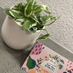 Pink Moon Botanicals
