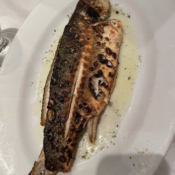 Bahari Estiatorio - Greek Near Me - Astoria, New York