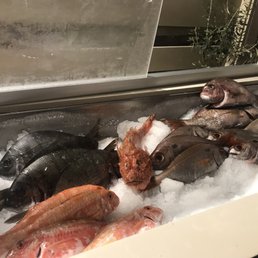 Selection of fresh catch