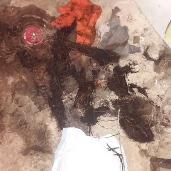 HELP Plumbing, Heating, Cooling and Drains - This is the pile of roots that the 2nd company cleaned out, that Help's high pressure cleaning was supposed to have cleaned out. - Plumbing Near Me - Cincinnati, Ohio