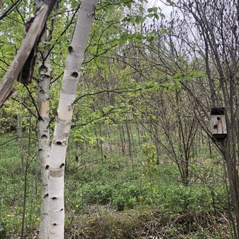 Wismer Park - Parks Near Me - Markham, Ontario