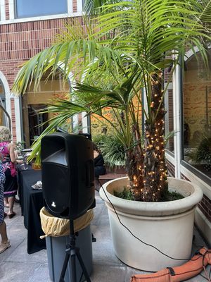 The Fowler Museum at UCLA by null