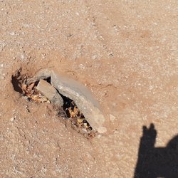 S & S Construction Restoration, Inc - Theres this busted concrete tunnle thay im hoping isnt the septic tank