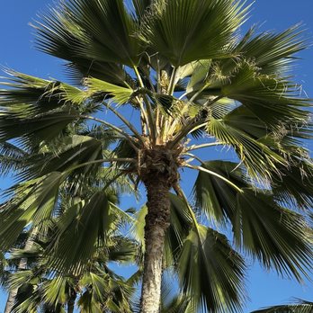 Hale Koa Hotel - Outside - Hotels Near Me - Honolulu, Hawaii