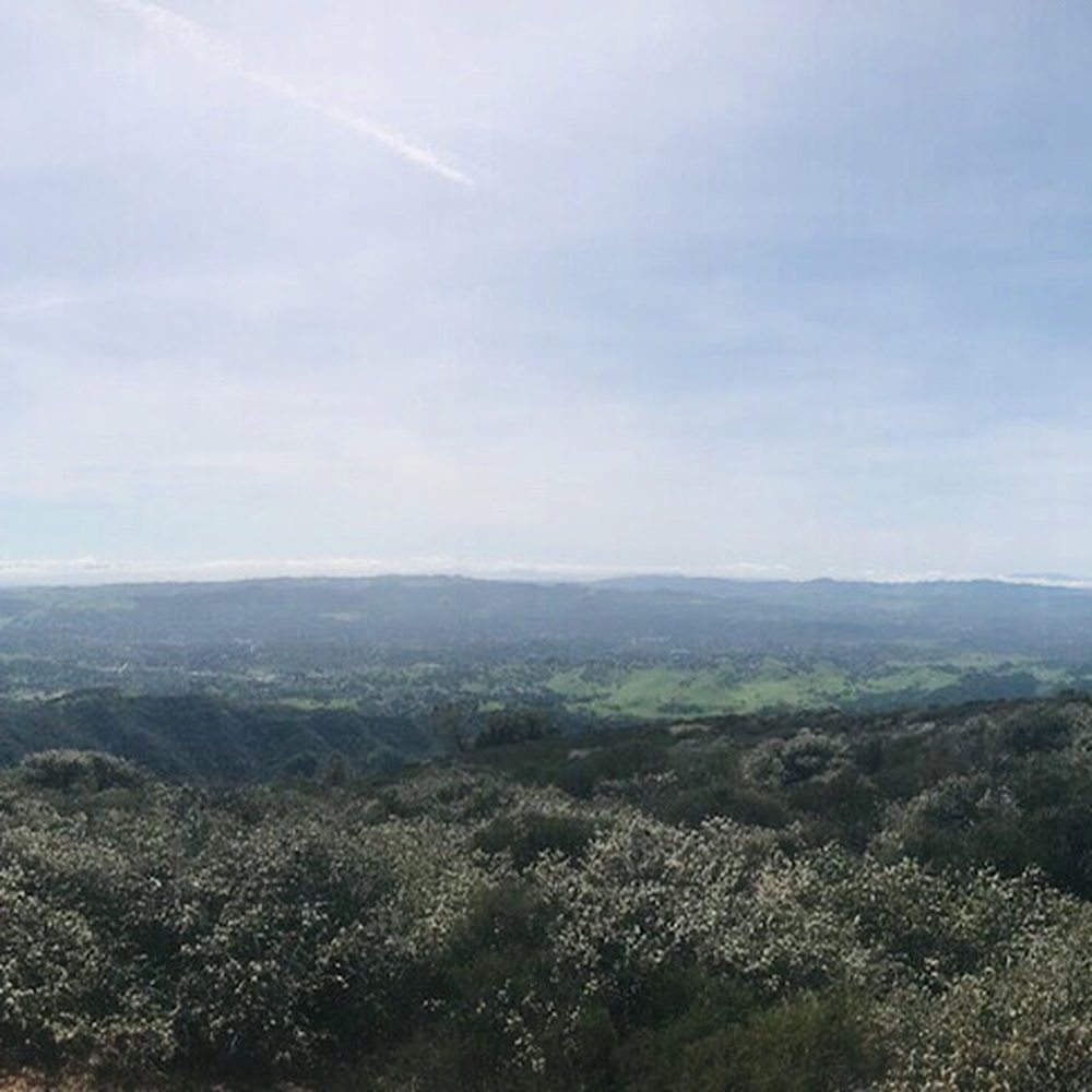 Mount Diablo State Park - April 2019 - Parks Near Me - Clayton, California