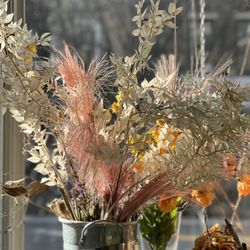 Chrysanthemum Rare Teas & Flowers