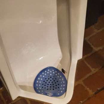 Cali N Tito's at La Puerta del Sol - Dead roach in right urinal in Cali N' Tito's men's restroom - Peruvian Near Me - Athens, Georgia