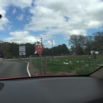 Froberg's Farm - View on the way out - Pick Your Own Farms Near Me - Alvin, Texas