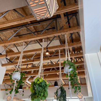 Cafe Smitten - Inside plants!! Love love love the aesthetic - Breakfast & Brunch Near Me - Bakersfield, California Cafe Smitten - Inside plants!! Love love love the aesthetic - Breakfast & Brunch Near Me - Bakersfield, California
