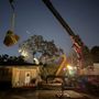 Photo of Laird Tree Service