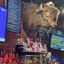 Union Whiskey - Judgy buffalo