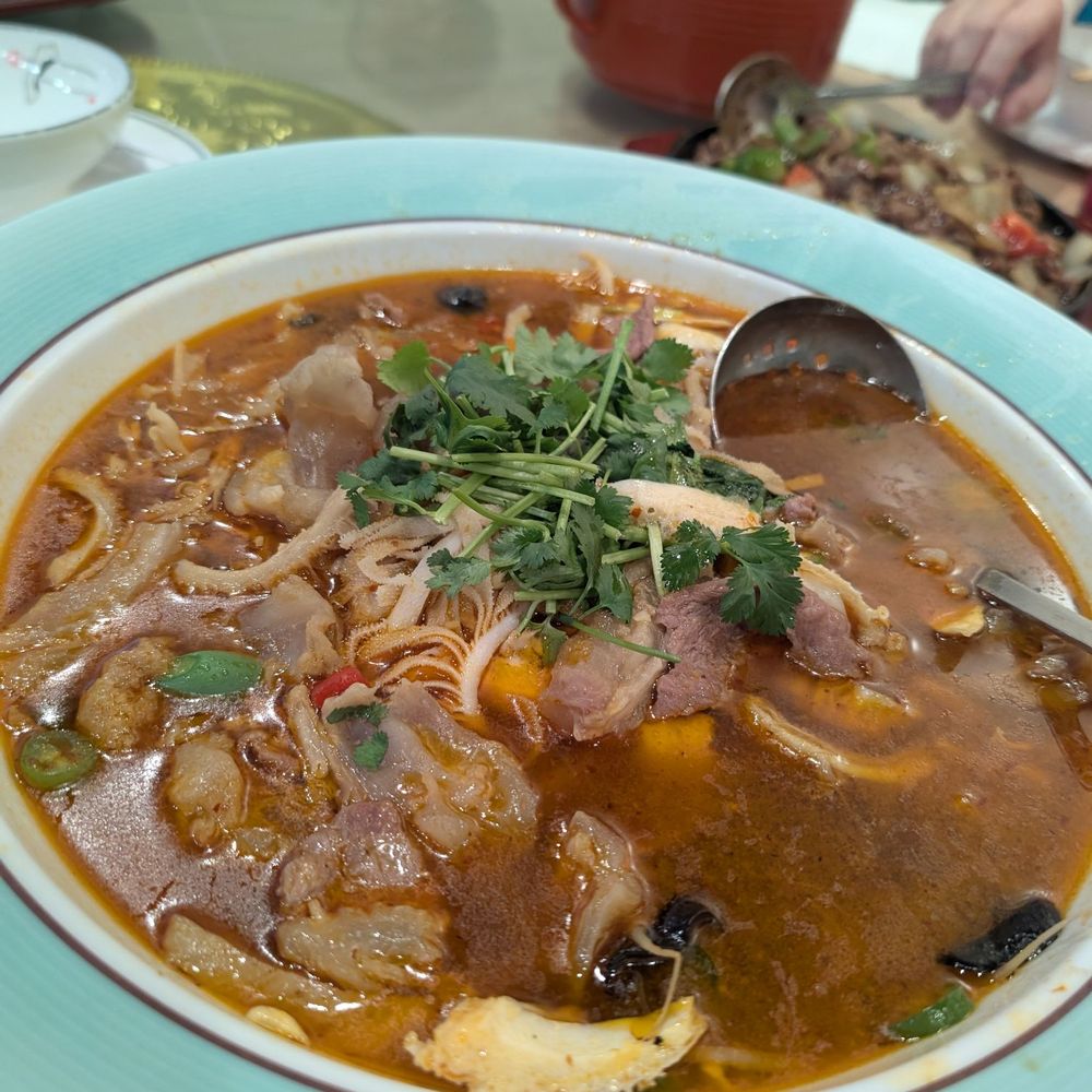 Sichuan Pepper House - Tendon and intestine - Chinese Near Me - Plano, Texas Sichuan Pepper House - Tendon and intestine - Chinese Near Me - Plano, Texas