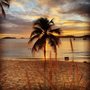 Photo of Virgin Islands Platinum Services