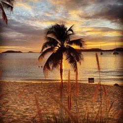Virgin Islands Platinum Services