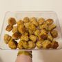 The Hive Nutrition