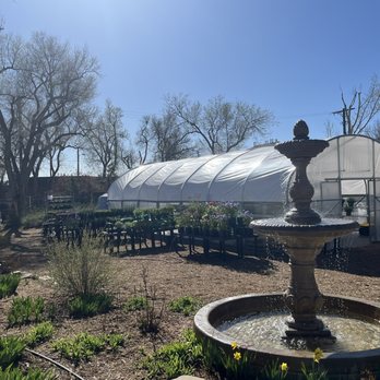 Hillside Gardens - Garden center and out side display of perennials! - Venues & Event Spaces Near Me - Colorado Springs, Colorado