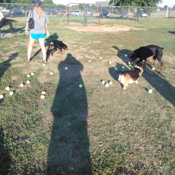 Norman Community Dog Park - Dog Parks Near Me - Norman, Oklahoma Norman Community Dog Park - Dog Parks Near Me - Norman, Oklahoma