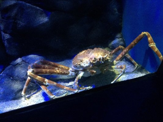 Underwater World Langkawi by null