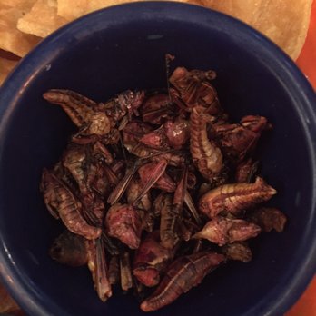 Mezcal - Chapulines (sautéed grasshoppers - overseasoned) - Mexican Near Me - San Jose, California Mezcal - Chapulines (sautéed grasshoppers - overseasoned) - Mexican Near Me - San Jose, California