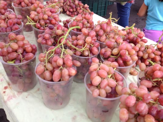 Downtown Oxnard Farmers Market by null