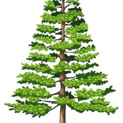 Essential Home Maintenance Checklist: Keep Your Home in Top Condition