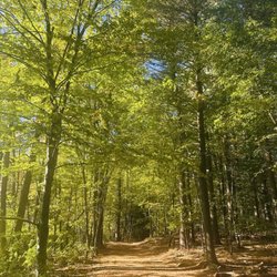 West Rock Ridge State Park-Lake Wintergreen