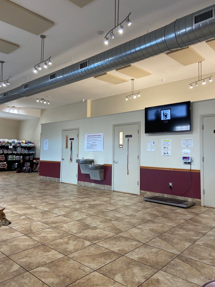 FLORIDA AID TO ANIMALS Updated October 2024 13 Photos & 14 Reviews