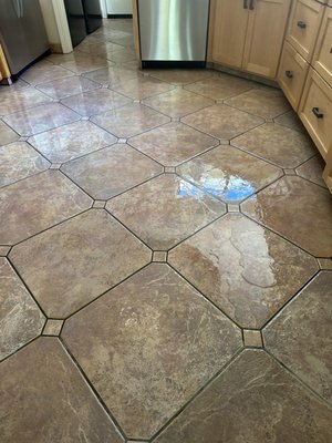 Tile & Grout Cleaning - We offer comprehensive tile and grout cleaning from bathrooms to kitchens and beyond we have you covered. Call now for your free estimate. Tile & Grout Cleaning - We offer comprehensive tile and grout cleaning from bathrooms to kitchens and beyond we have you covered. Call now for your free estimate.