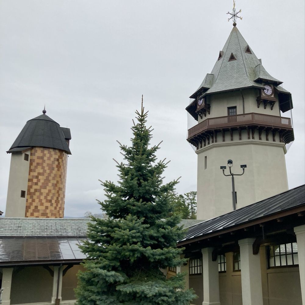 High Lawn Farm - Alpine vibes - Specialty Food Near Me - Lee, Massachusetts High Lawn Farm - Alpine vibes - Specialty Food Near Me - Lee, Massachusetts