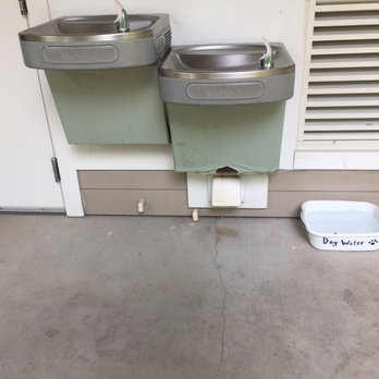 Eden Gardens State Park - Human and dog water available - Parks Near Me - Santa Rosa Beach, Florida Eden Gardens State Park - Human and dog water available - Parks Near Me - Santa Rosa Beach, Florida