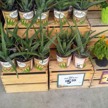Sprouts Farmers Market - Grocery Near Me - Encinitas, California Sprouts Farmers Market - Grocery Near Me - Encinitas, California