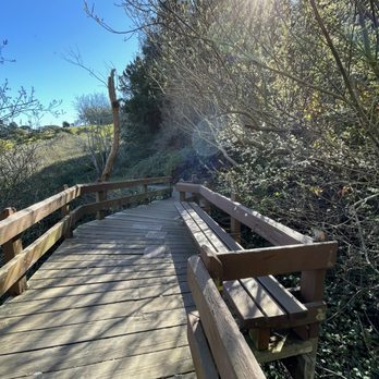 John McLaren Park - "Hidden Bridges" with benches - Parks Near Me - San Francisco, California John McLaren Park - "Hidden Bridges" with benches - Parks Near Me - San Francisco, California