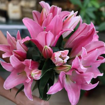 J Merullo Imports - Florists Near Me - Syosset, New York J Merullo Imports - Florists Near Me - Syosset, New York