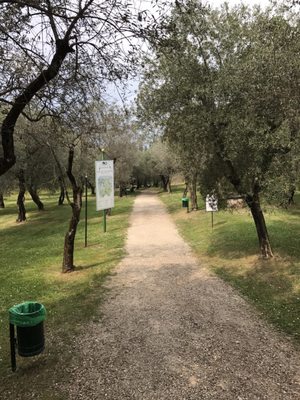 Baia delle Sirene by null